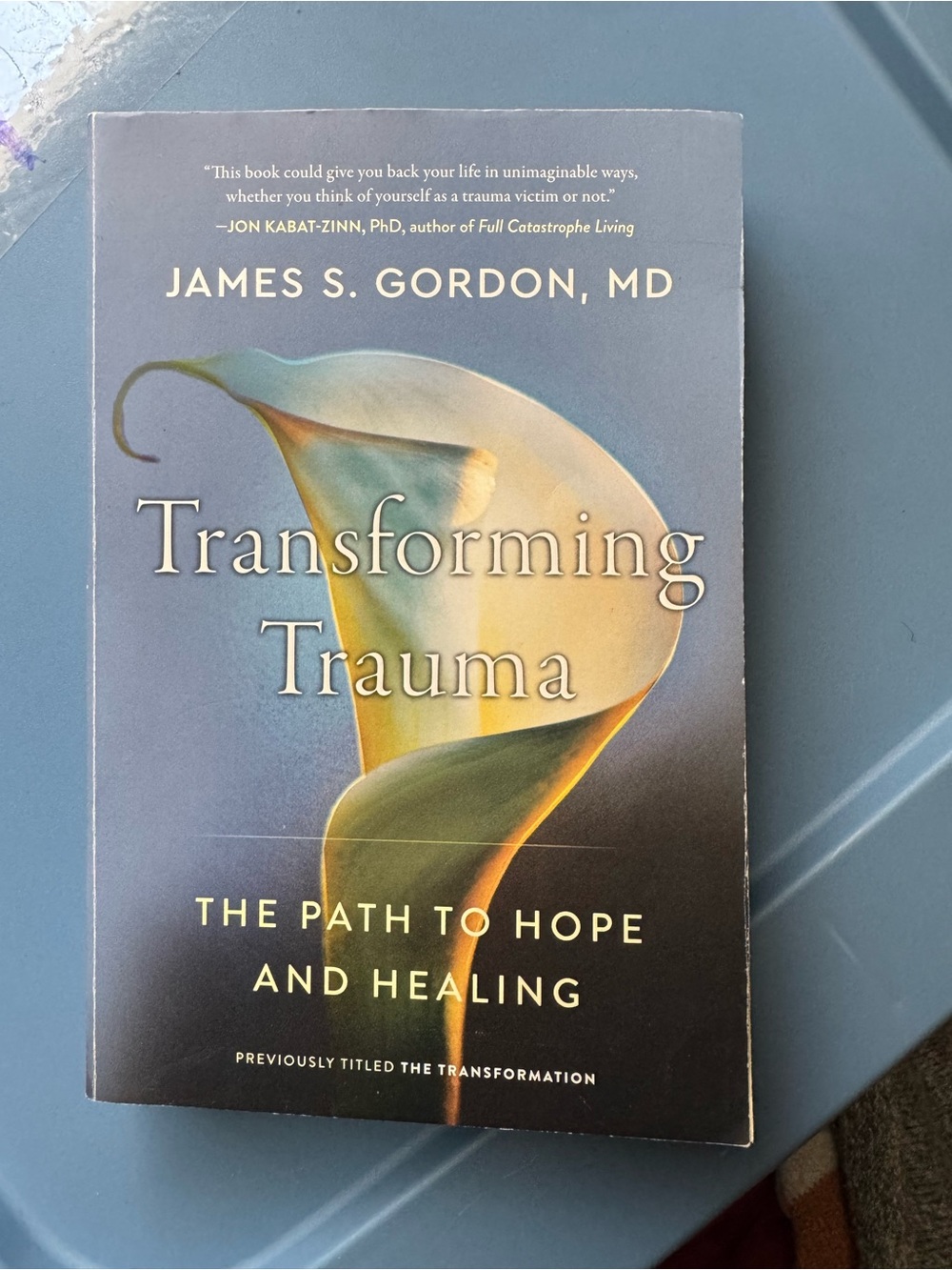 Transforming Trauma by - Blue Cover
